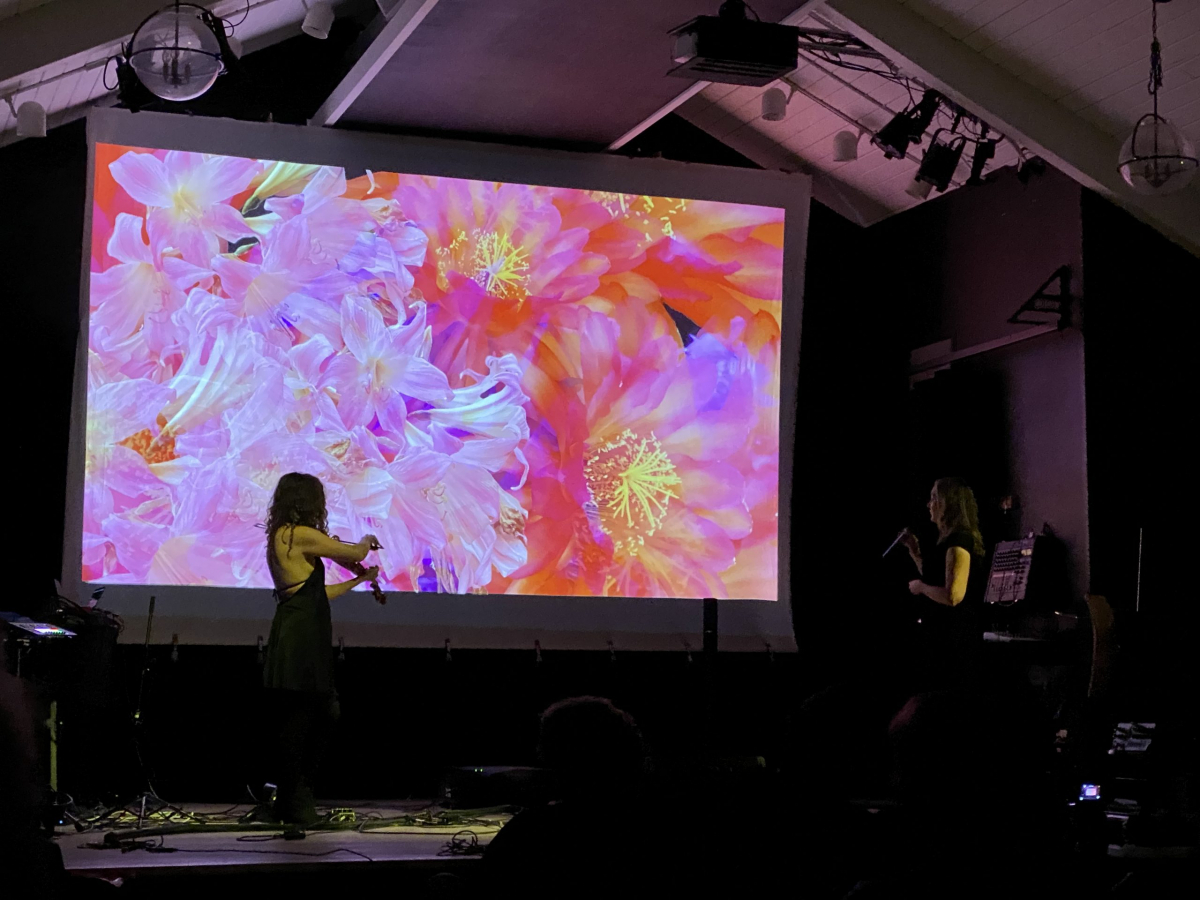 Opening Friday Gallery