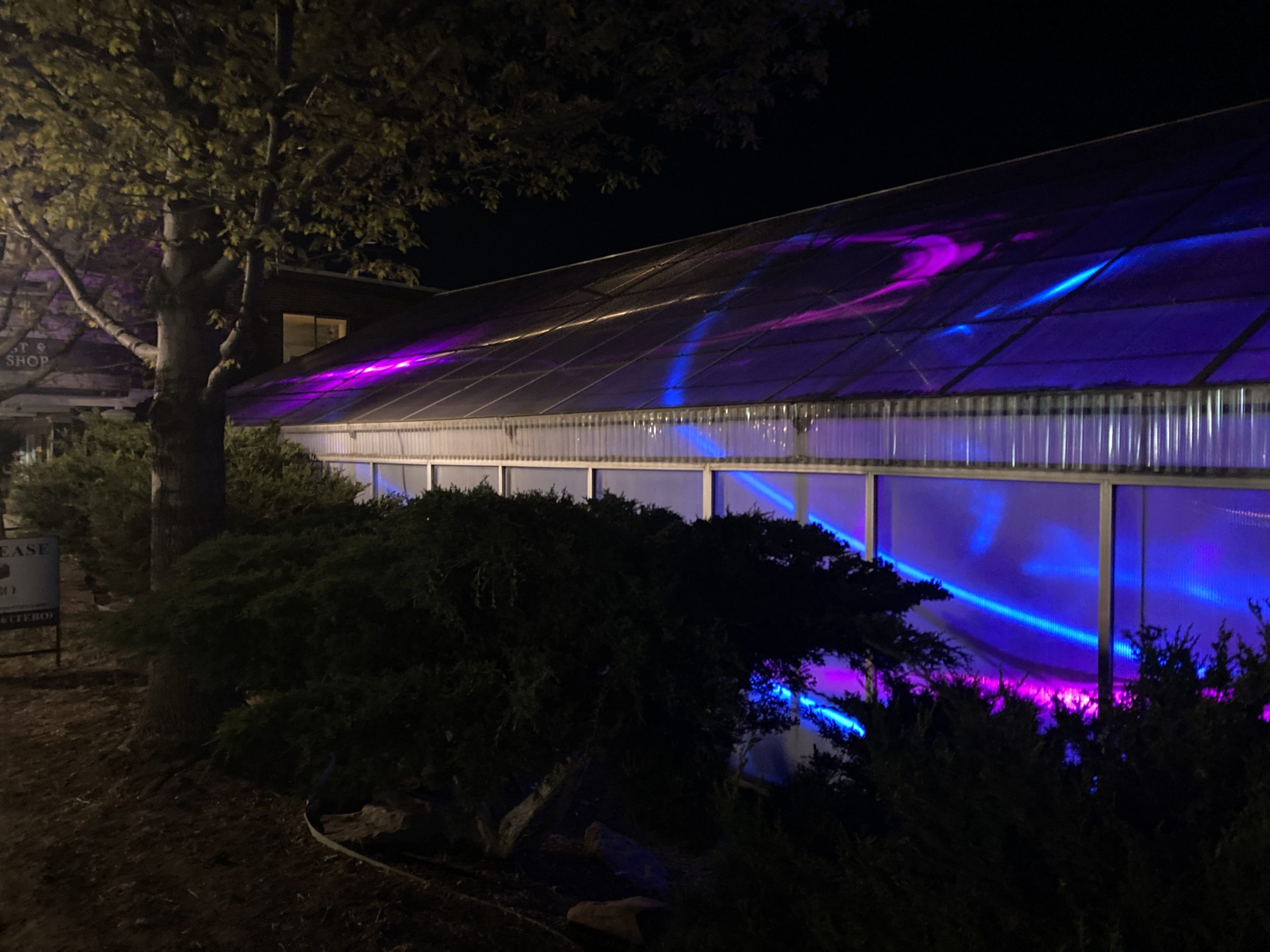 LEAF 2026 Lafayette Lights